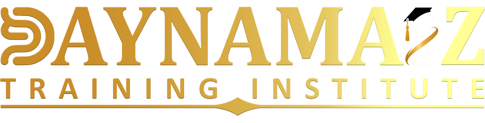 Daynamaiz Logo